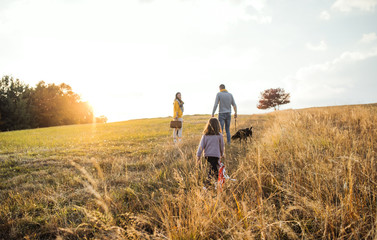 A rear view of family with child and a dog on a walk in autumn nature at sunset.