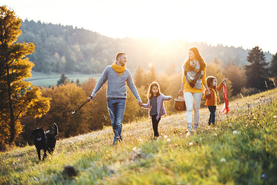 A young family with two small children and a dog on a walk on a meadow at sunset.