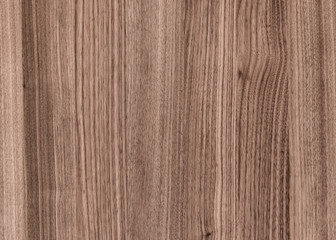 Fototapeta premium background of Walnut wood surface