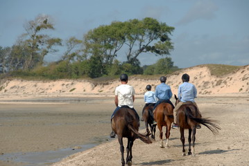 Groupe de cavaliers dans la baie du Mont Saint-Michel, département de la Manche, Normandie, France	
