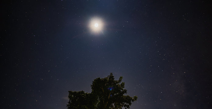 Moon shine in the night sky with star over tree