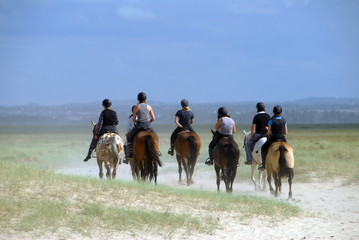 	 Groupe de cavaliers de dos dans la baie du Mont Saint-Michel, d&eacute;partement de la Manche, Normandie, France	