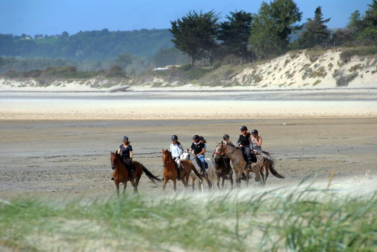 Groupe de cavaliers dans la baie du Mont Saint-Michel, département de la Manche, Normandie, France	