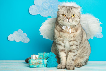 Christmas angel cute cat, with wings and gifts for the New Year