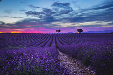 atardecer morado