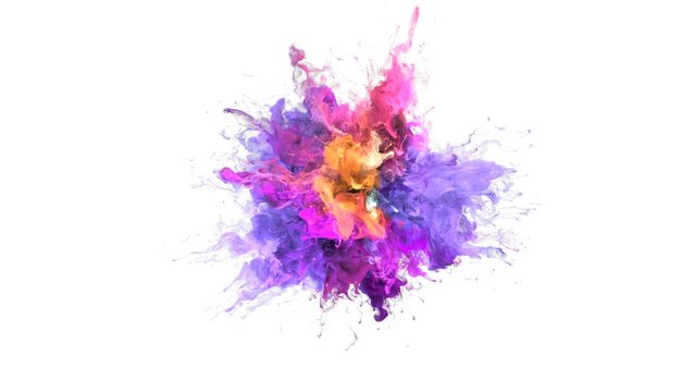 Color Burst - colorful purple magenta pink yellow smoke explosion fluid gas ink particles slow motion alpha matte isolated on white wide shot