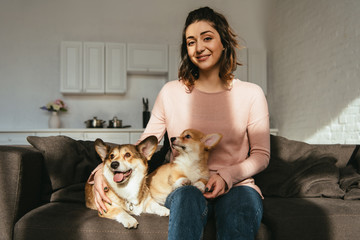 attractive woman sitting on sofa with welsh corgi dogs at home