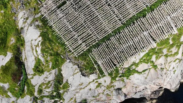 Aerial view. Cod stockfish drying on racks, Lofoten islands. Industrial fishing in Norway