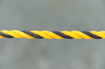 Yellow and black nylon rope. Nylon rope in center of photo. Grey background. Close-up. Copy space.
