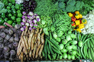 plants in market