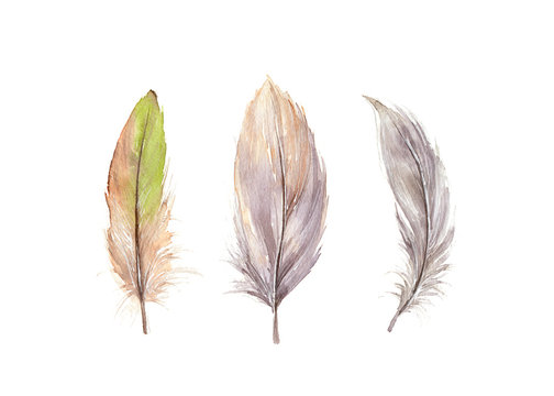 Hand drawn watercolor feather set.