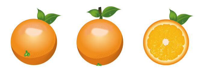 Orange fruit set - illustration