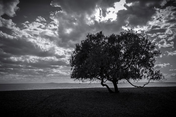 Obraz premium Peace in the silence of the depths