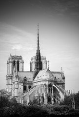 Cathedral of Notre Dame de Paris sunny autumn afternoon. BW photo. Paris. France.
