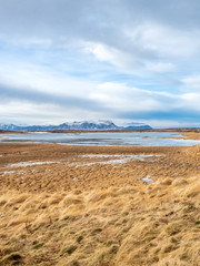 Field with snow in winter season, Iceland