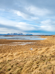 Field with snow in winter season, Iceland