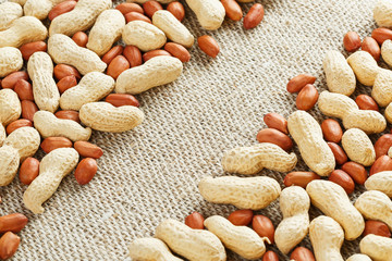 Roasted peanuts in a shell and peeled on a brown fabric background.