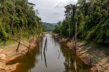Thakhek southern Laos dead trees landscape