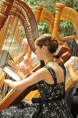 Harfinistin © igeltier