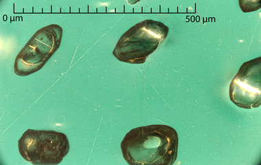 Zircon crystals on epoxy mount 50x