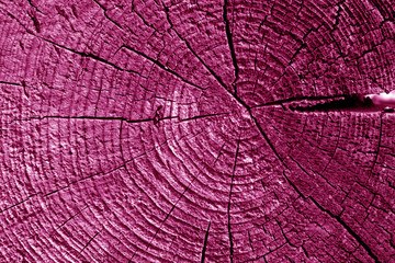 Old log cut macro in pink tone.