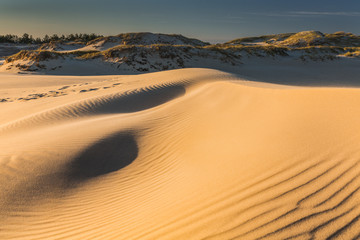 Dunes in national park in Poland