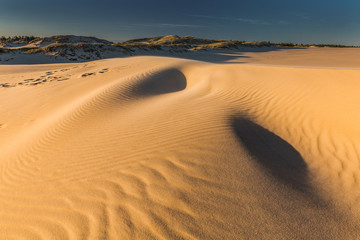Dunes in national park in Poland