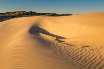 Dunes in national park in Poland