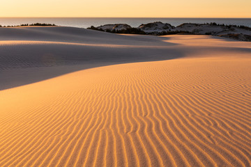 Dunes in national park in Poland