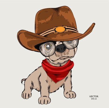 a dog in a cowboy hat. vector illustration