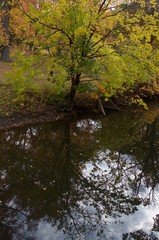 Fall Foliage River Creek Reflection 2