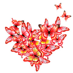 red heart, butterflies, valentine card