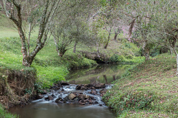 river, water, stream, nature, forest, waterfall, landscape, trees, green, tree, creek, spring, cascade, rocks, brook, rock, summer, moss, flowing, stone, flow, fall, mountain, woods, natural