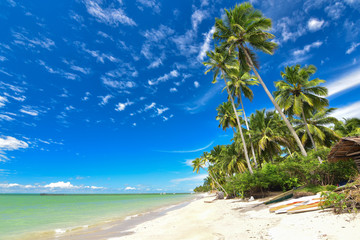 Obraz premium Beach, Brasil, Maragogi