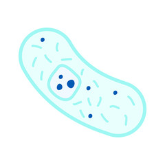 Bright colorful biology bacteria cell, icon on white