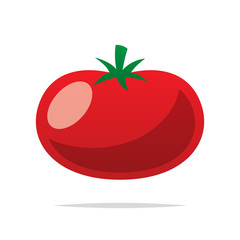 Tomato vector isolated illustration