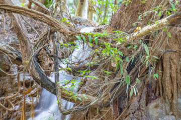 Waterfall flowing from the mountains at Huay Mae khamin waterfall National Park ,Kanchana buri in Thailand.