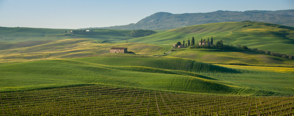 Vineyards, fields and hills of beautiful Tuscany on a sunny spring day. Scenic landscape!