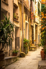 Fototapeta na wymiar Narrow streets of Cinque Terre decorated with green plants, Vernazza, Italy
