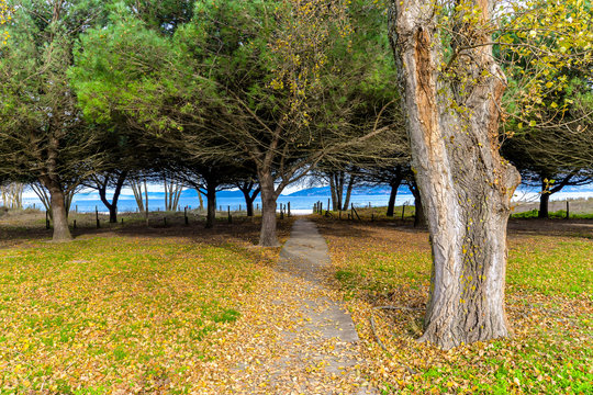Autmn at Vao Beach - Vigo