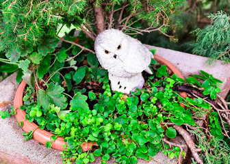 beautiful white stone owl in the park