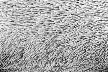 Gray knitted fabric background