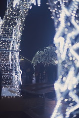 Gate Decorated with Led Lights