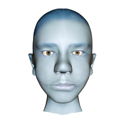3d human head illustraiton front view