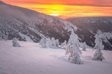 mountains, giant, czech, winter, mountain, krkonose, snow, karkonosze, landscape, panorama, karpacz, nature, sky, snowy, white, sun, travel, cold, blue, view, europe, outdoor, day, scenery, ski, valle