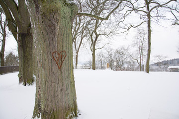 parklandschaft im Winter mit herz 