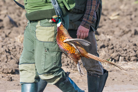 The hunter in the hunting clothes and with rifle hunts