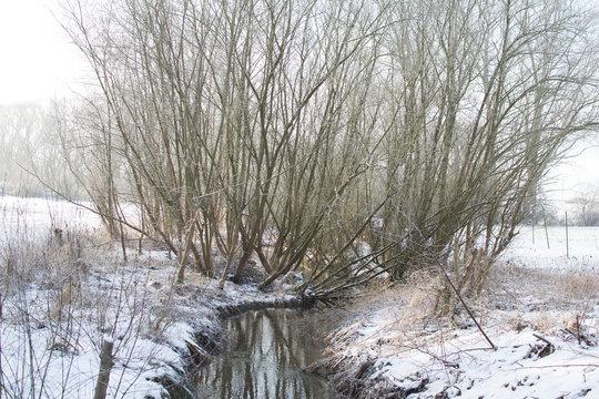 winter6