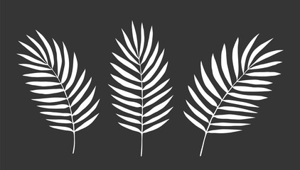 Set of Leaves. Vector. Silhouette