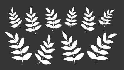 Set of Leaves. Vector. Silhouette